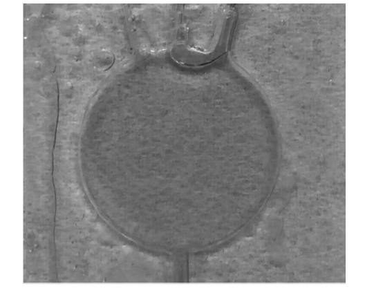 微流控光開關(guān)在實(shí)際應(yīng)用中的效果，包括不同流速下的遮光形態(tài)及透光/遮光對比  - 廣西科毅光通信